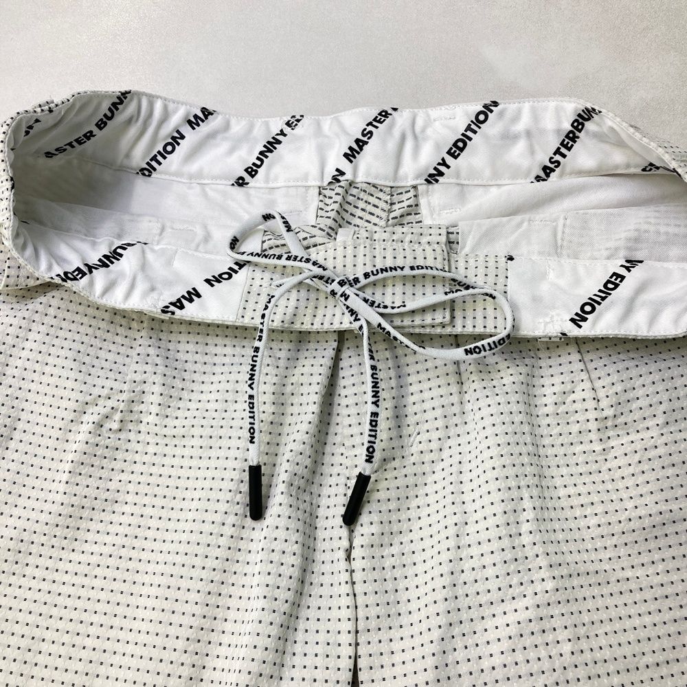 マスターバニーエディション モデル