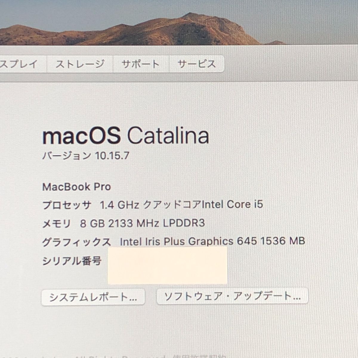 ジャンク品・本体のみApple MacBook Pro (13インチ 2019)【Touch Bar