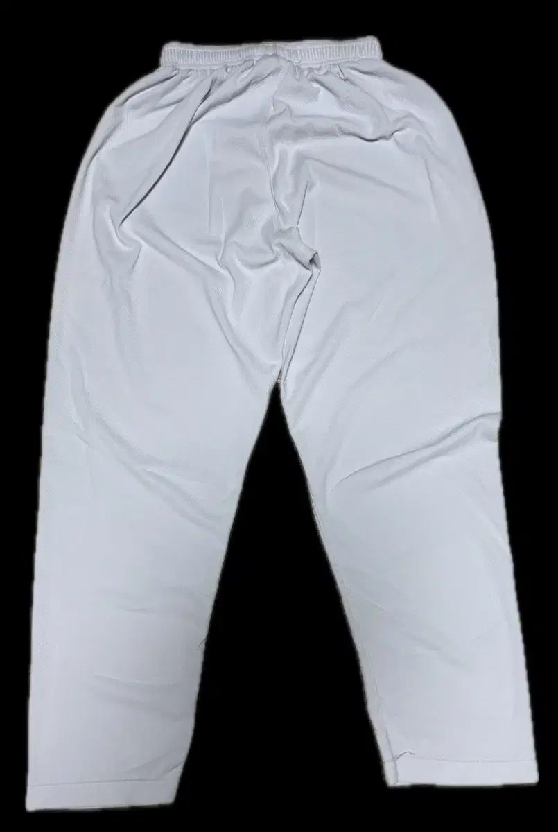  全北特別自治道 쫄쫄이 柔道着 売れ残ったら投稿削除 その他 柔道