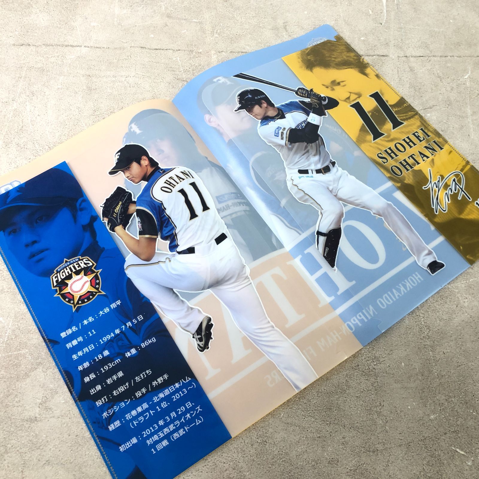 野球 日本ハムファイターズ 大谷翔平 ファイル プロ初登板試合 観戦