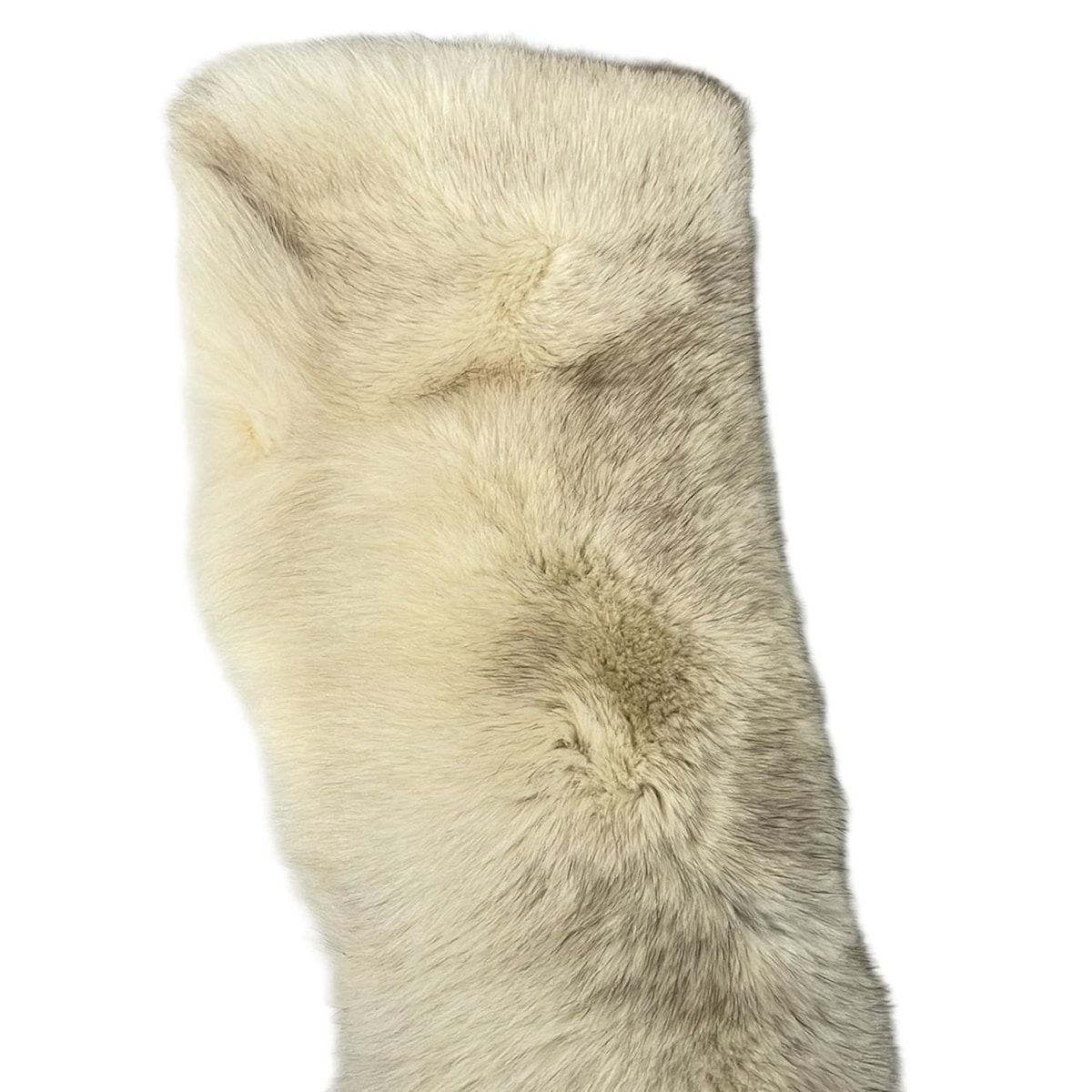 サガフォックス