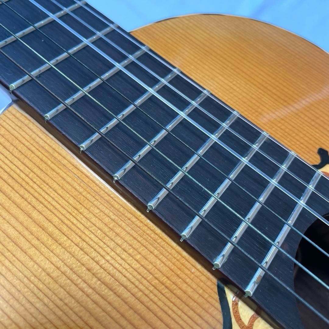 SPECIAL 木曽鈴木バイオリン