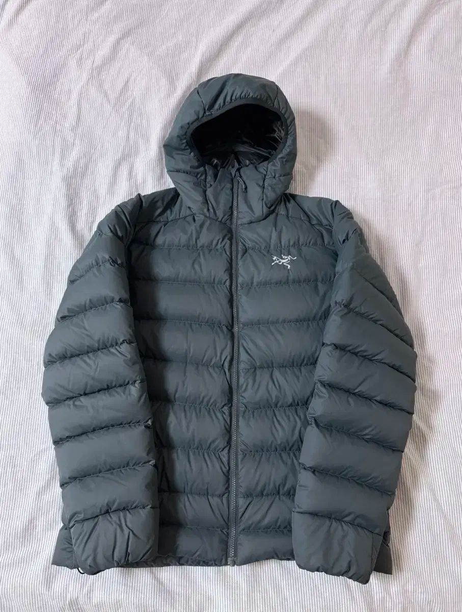 SS級 ARC TERYX アークテリクス Thorium AR Hoody Paradox L