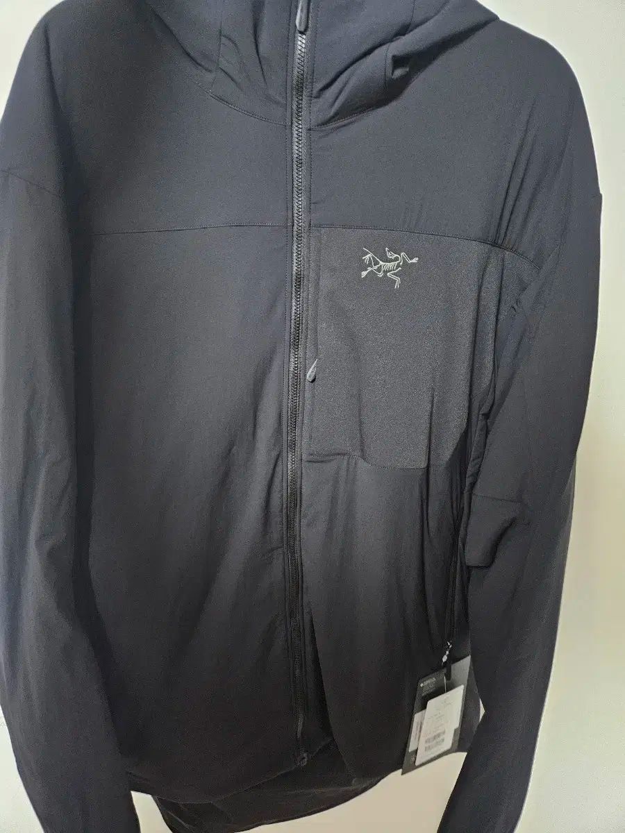 ARC TERYX アークテリクス プロトン Lサイズ