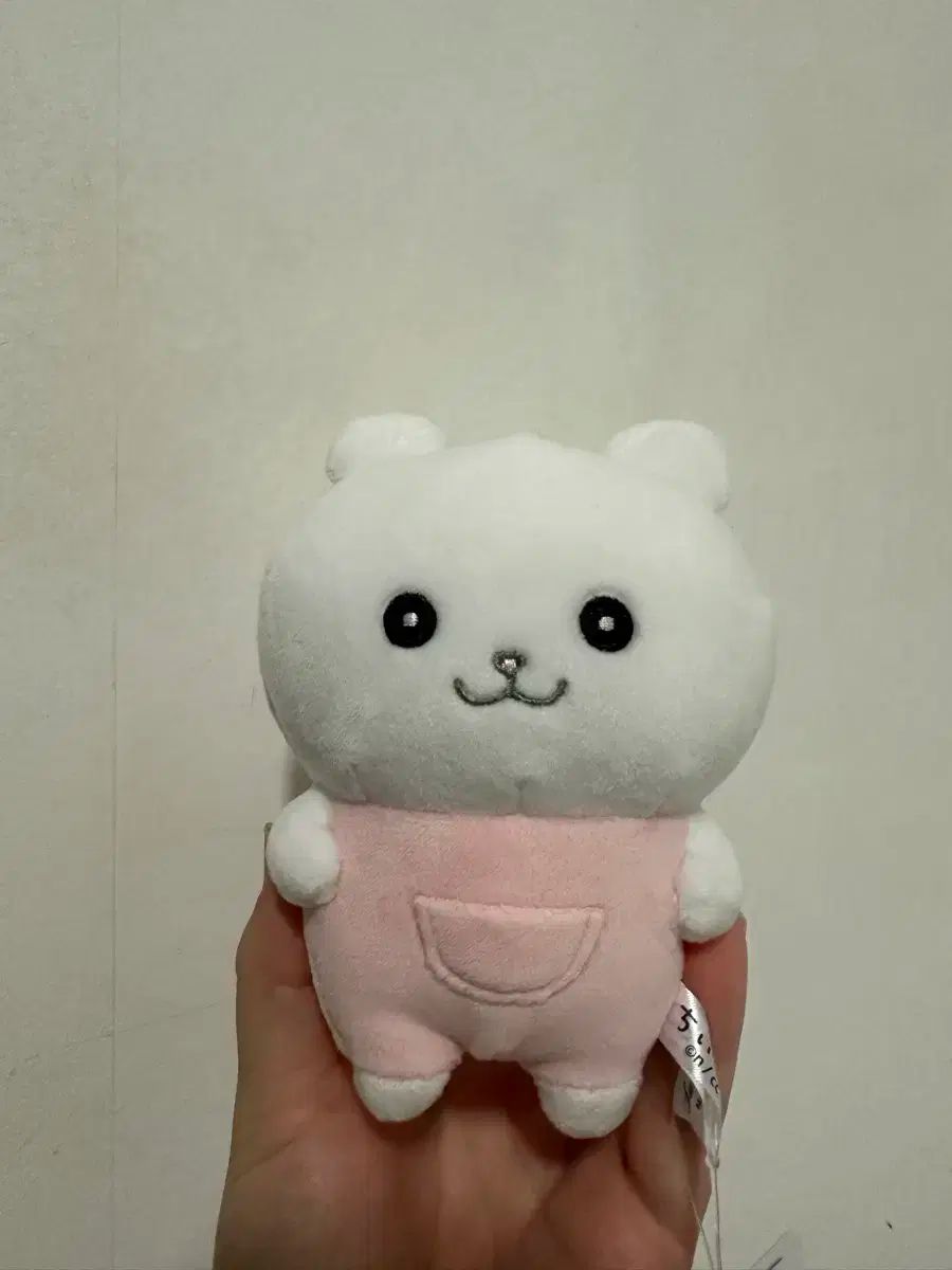 停止中》推しぬい 無属性 韓国 ぬいぐるみ オーダーメイド 《受付停止