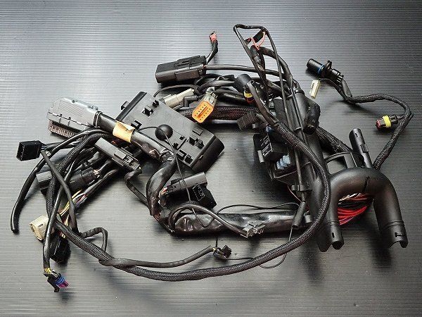 ハーレー スポーツスター XL883L-I 純正 メインハーネス ♪ F18