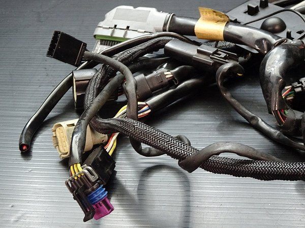 ハーレー スポーツスター XL883L-I 純正 メインハーネス F18