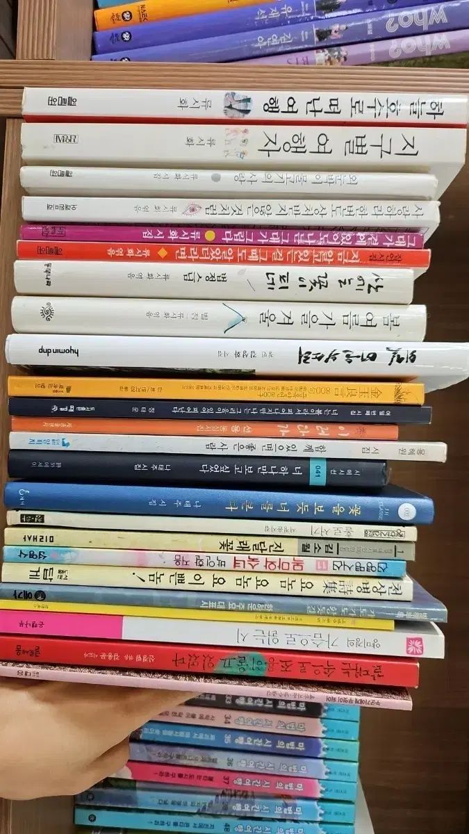 詩集コレクション リュ シファ|ナ テジュ|その他