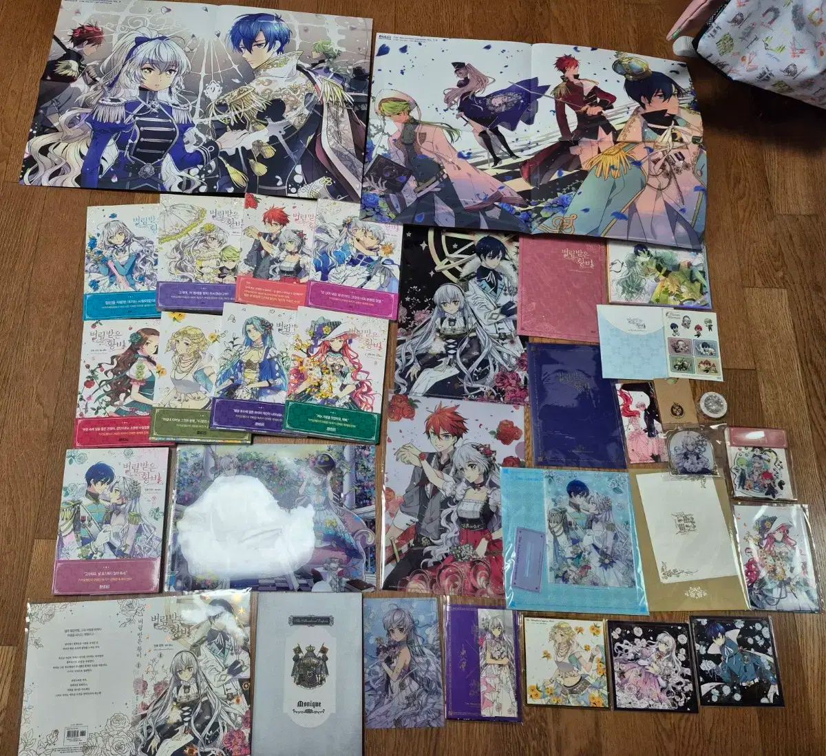 ロマンス ファンタジー 捨てられた皇女 1-9巻 全巻 モデル