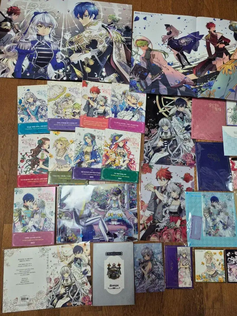 ロマンス ファンタジー 捨てられた皇女 1-9巻 全巻 モデル