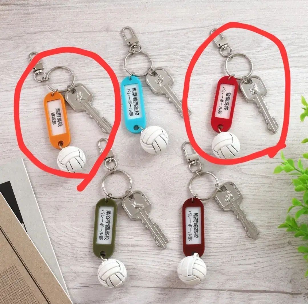 ハイキュー 部室キーホルダー 音駒高校 烏野高校