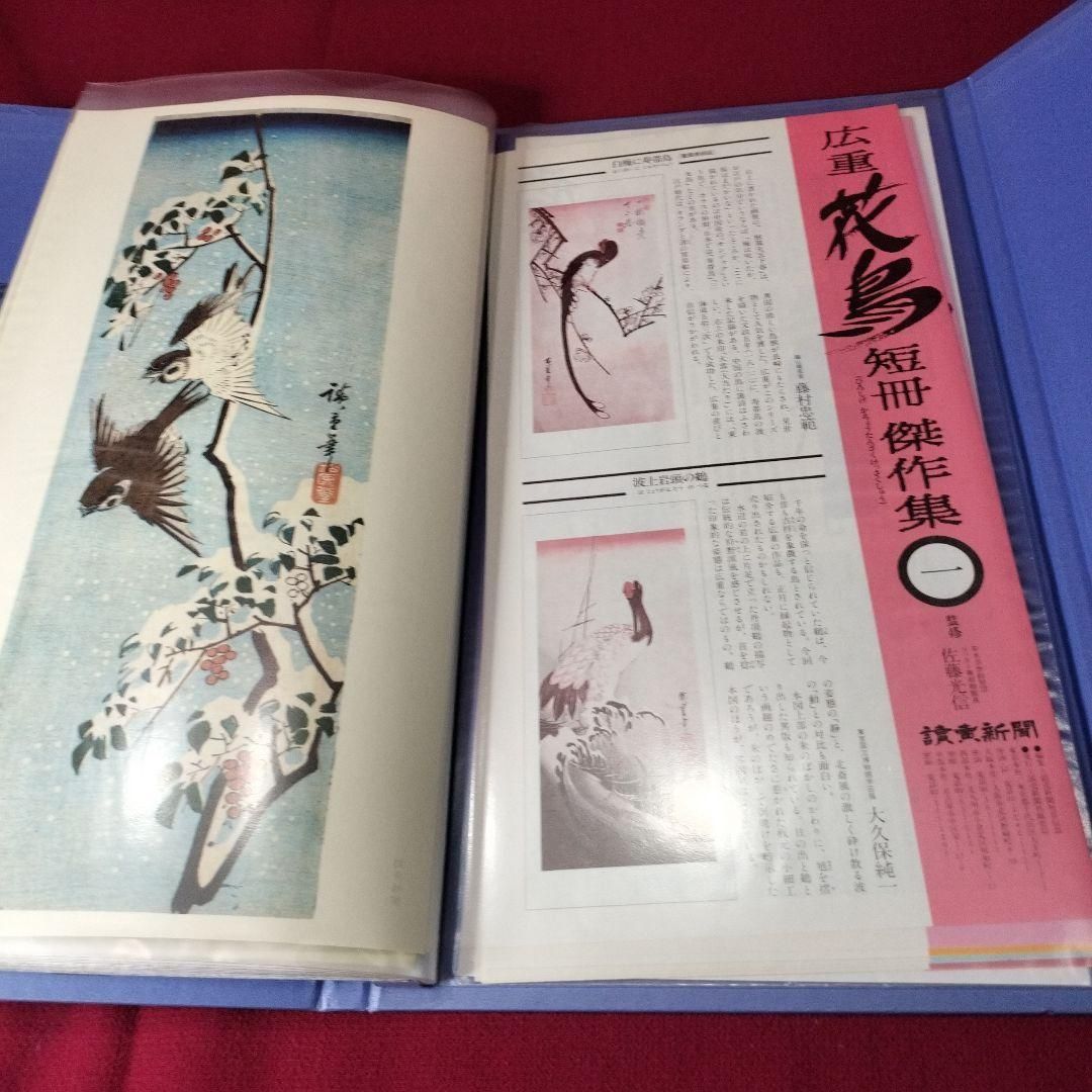 広重花鳥短冊傑作集 24枚 額付き - メルカリ