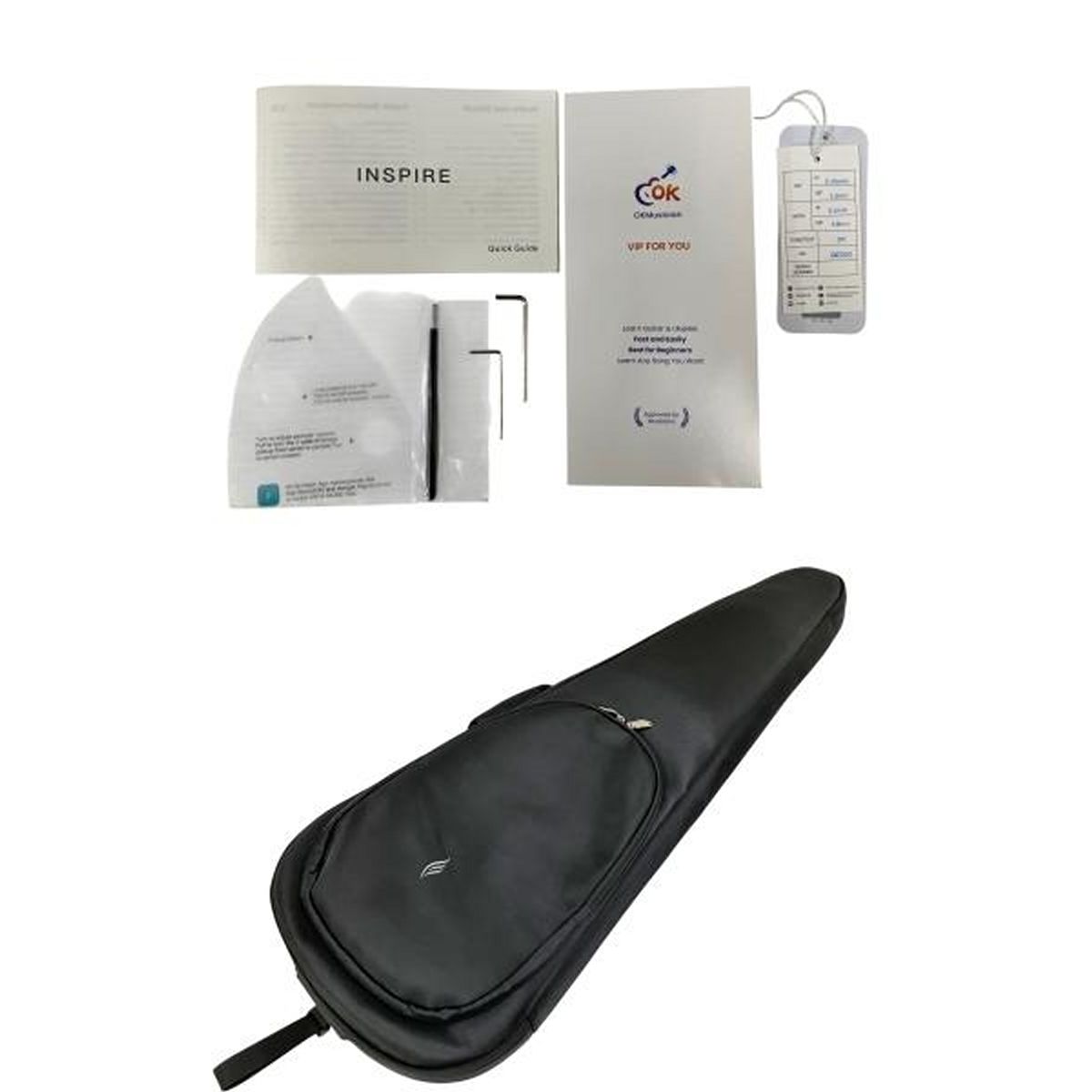 ENYA INSPIRE エレキギター アンプ内蔵ギター O10417963