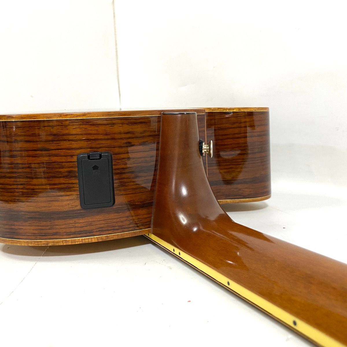 モデル ケース付