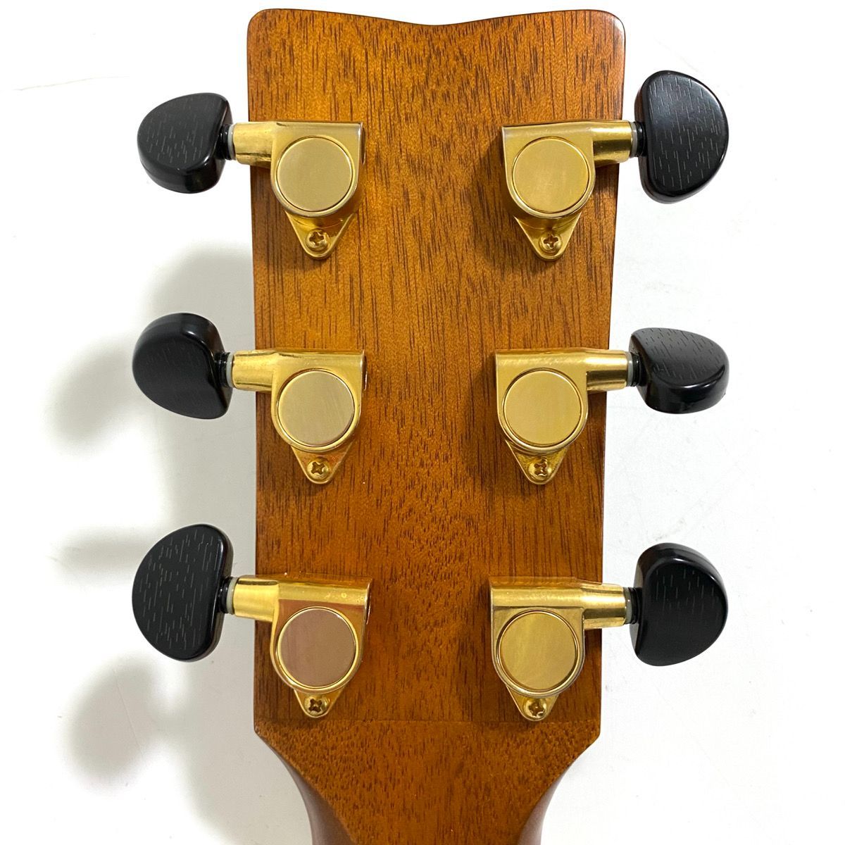 オール単板 モデル