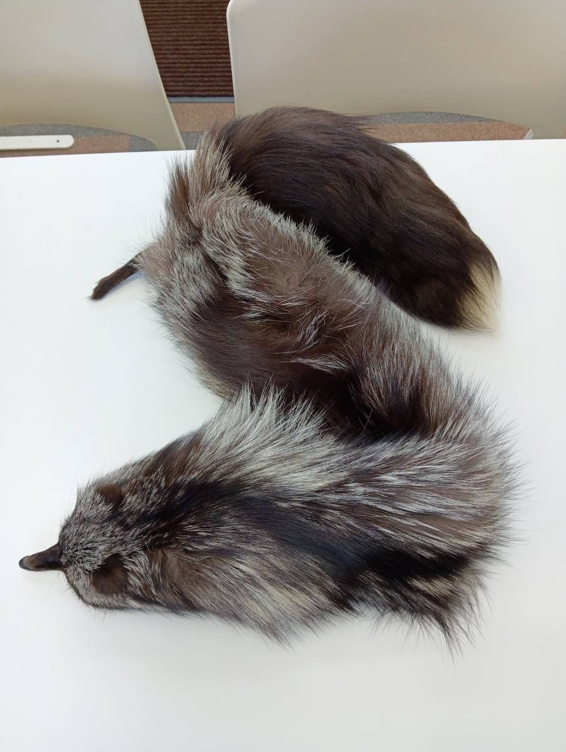 品 フォックスファー リアルファー 毛皮 ティペット ファー FOX シルバーフォックス 現状品