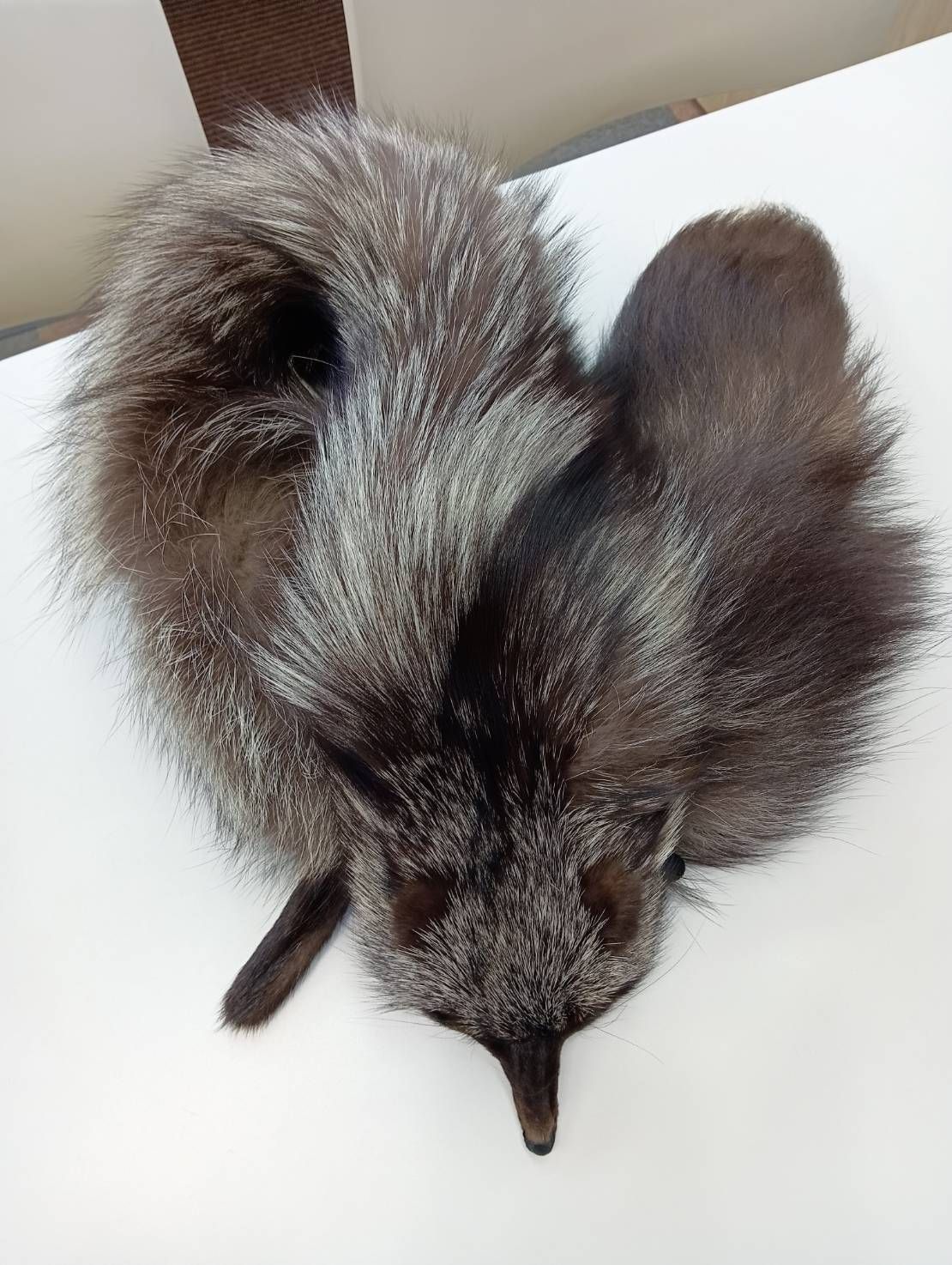 品 フォックスファー リアルファー 毛皮 ティペット ファー FOX シルバーフォックス 現状品