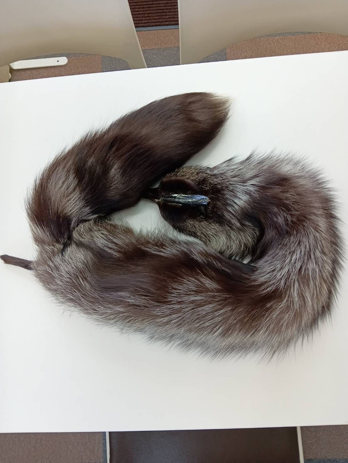 ティペット ファー