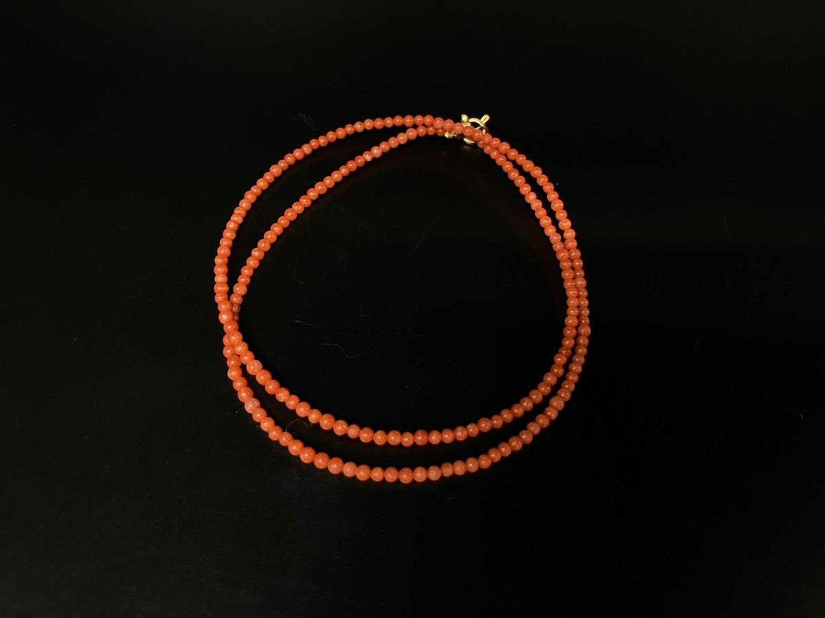 ネックレス さんご