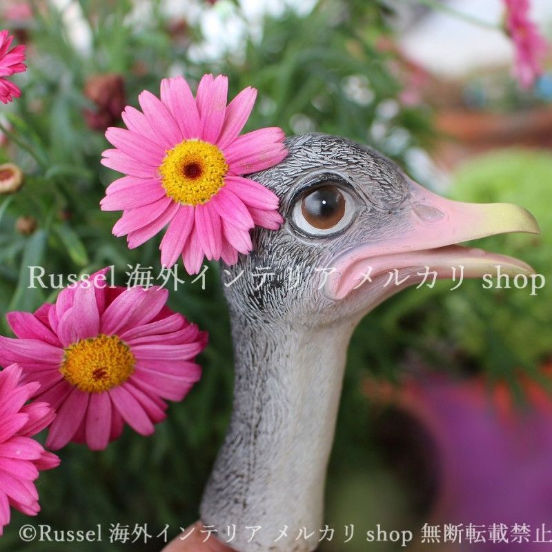 ガーデンオブジェ ダチョウ 2個セット 樹脂 ガーデンステーク 鳥 アニマル 動物 ガーデンオーナメント ガーデニング 雑貨 ガーデン雑貨 ガーデンインテリア ガーデン インテリア 庭の装飾 お洒落 おしゃれ 8-14