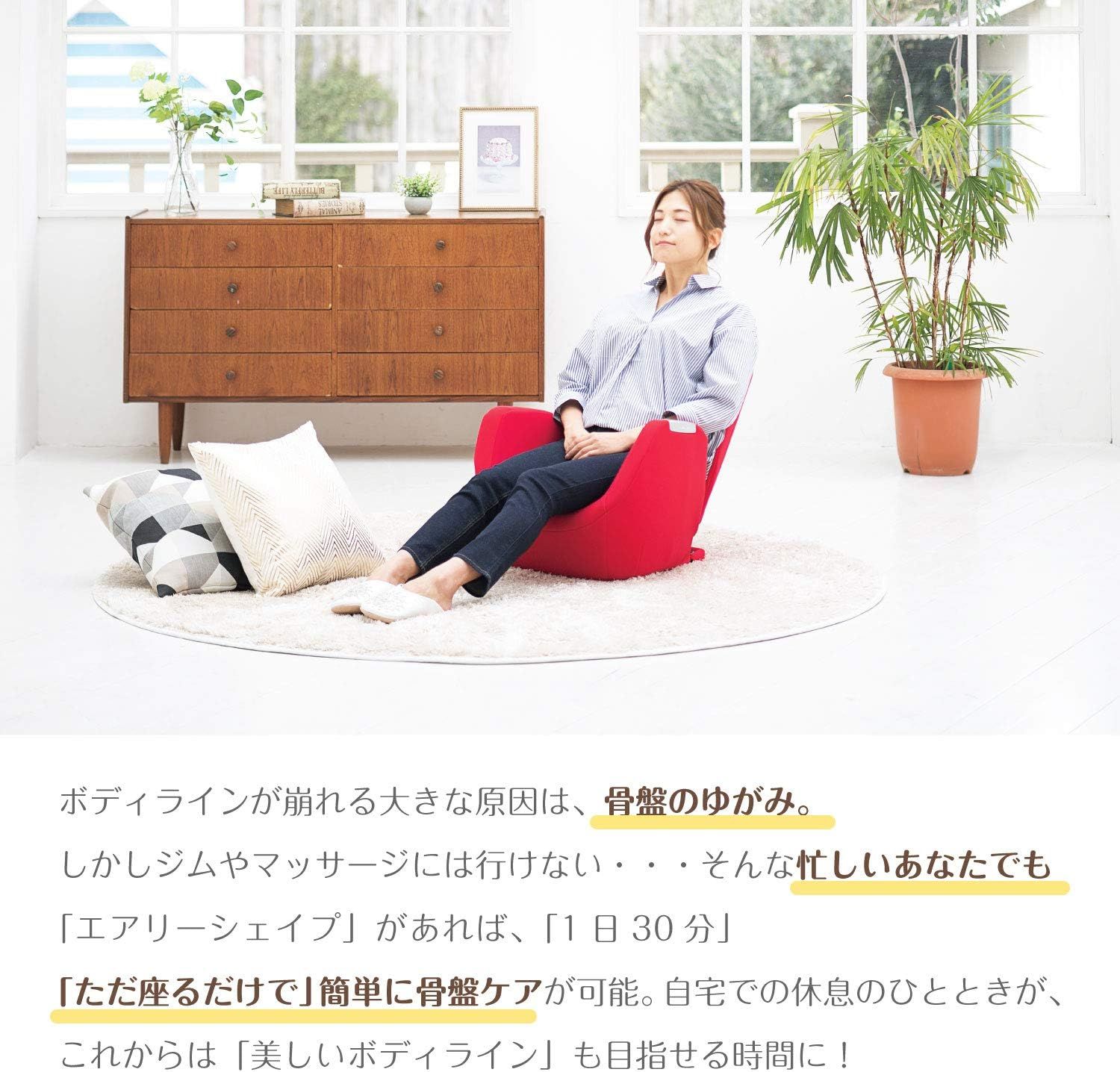 porto AIM-FN050BN エアリーシェイプ ブラウニー 骨盤ケア エクササイズ チェア 椅子 リクライニング エアーバッグ ストレッチ ポルト ツカモトエイム 16 MARWIL-DEMENAGEMENTS_CH