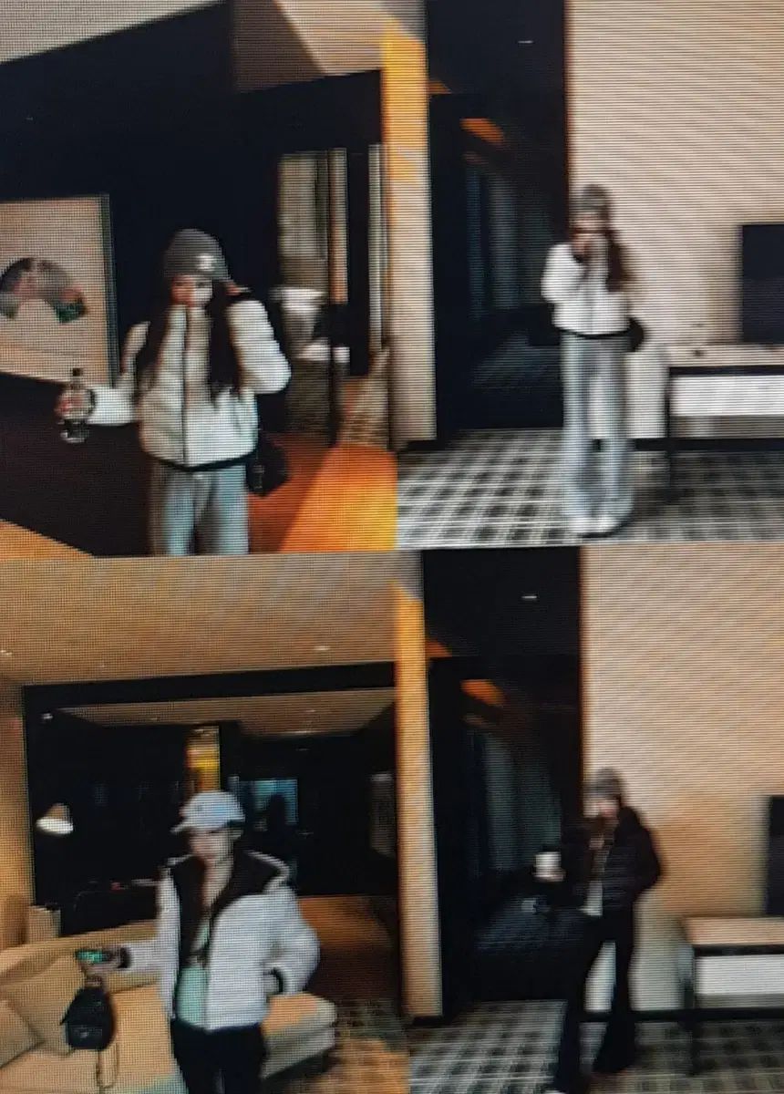 フード ショート