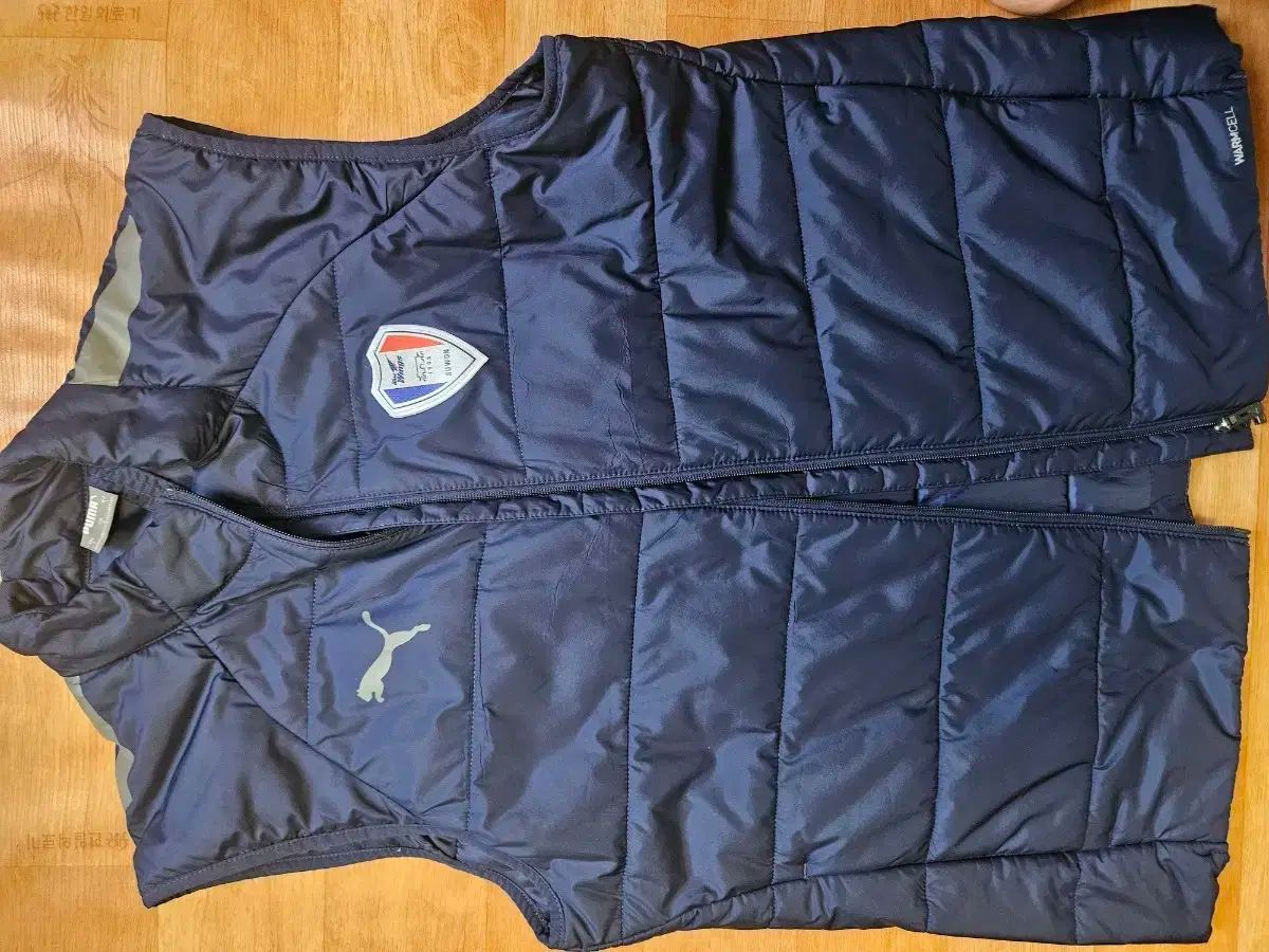 水原三星ブルーウィングス ダウンベスト