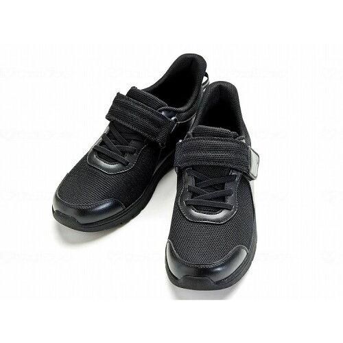 理学工学系大学院案内 1997年 東京図書 理学工学系大学院案内 1997年 東京図書