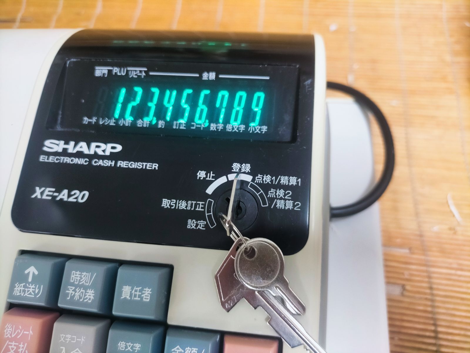 店名設定無料ロゴ