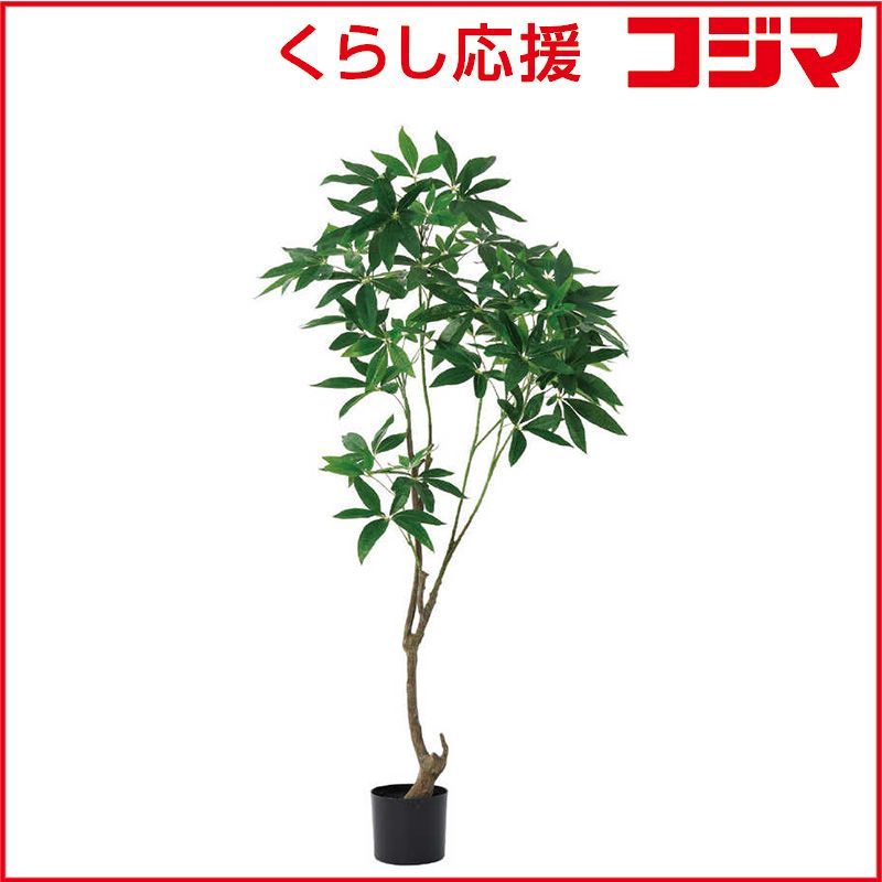 【 新品 未開封 】   アスカ商会 フェイクグリーン パキラ グリ-ン A-51110-051A 未使用 送料無料