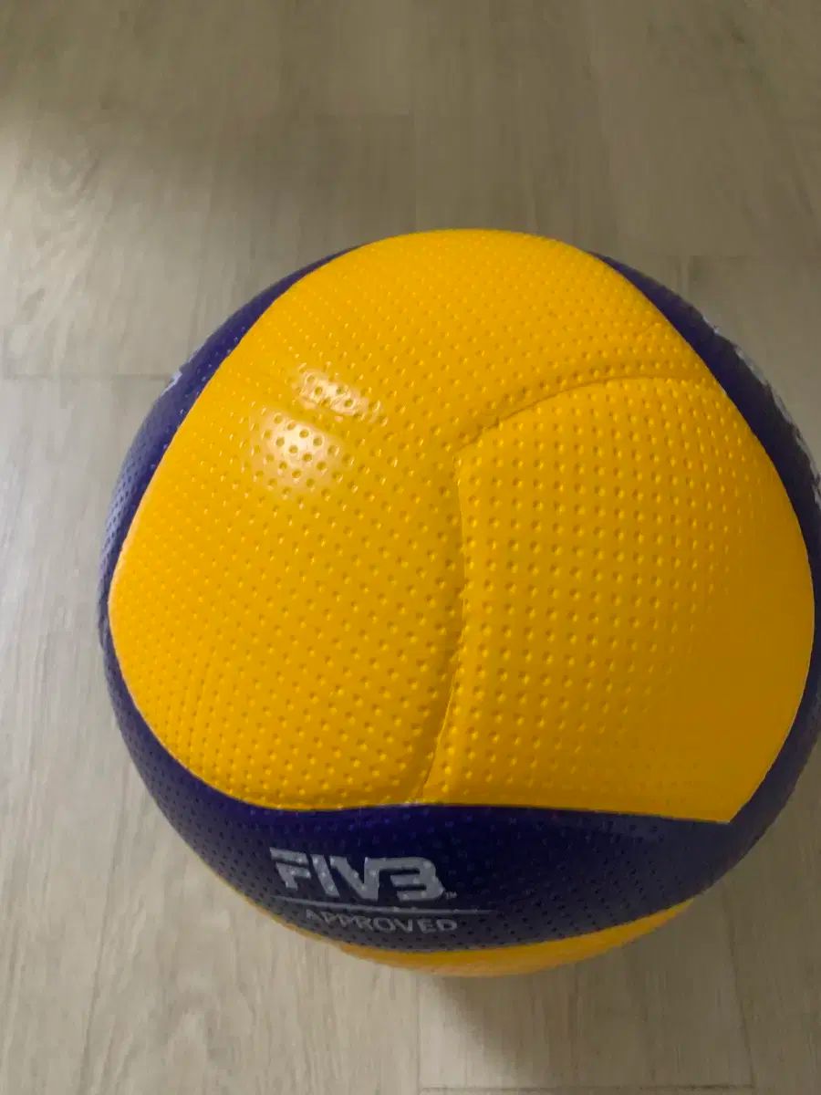  ミカサ V 300 W バレーボールです - FIVB 球として国際規格に合わせ その他 武道 格闘技