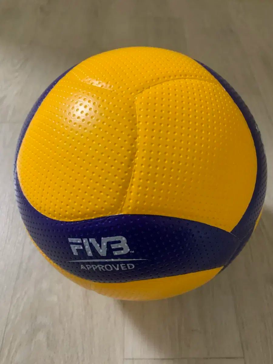 FIVB 球として国際規格に合わせ