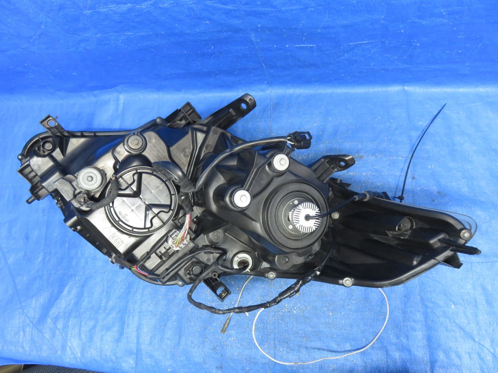 GGH20W|前期 AFS付