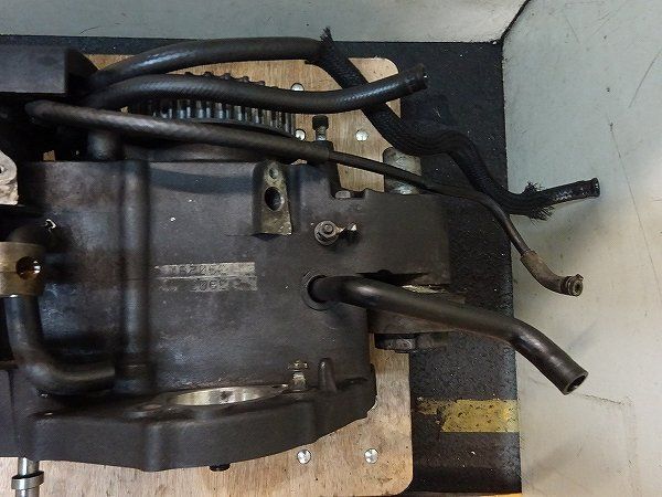 スポーツスター