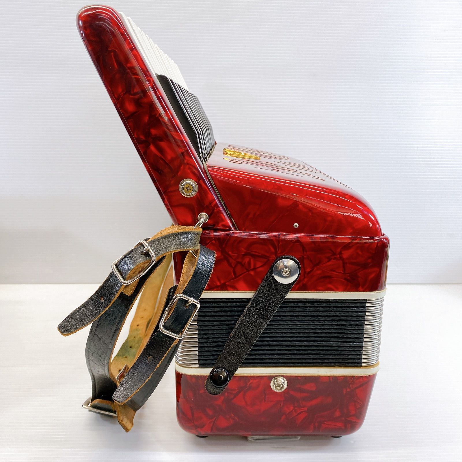 現状品 ハードケース付き