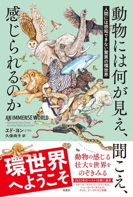 動物には何が見え、聞こえ、感じられるのか　人間には感知できない驚異の環世界 動物には何が見え、聞こえ、感じられるのか 人間には感知できない 人間には感知できない驚異 動物には何が見え、聞こえ、感じられるのか』君はハチのUV視覚で | 中古本の販売・買取