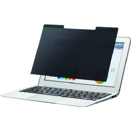 二代目 田辺雲斎作 漆 や竹花入 蘇鉄図 二代田辺竹雲斎 | Chikuunsai