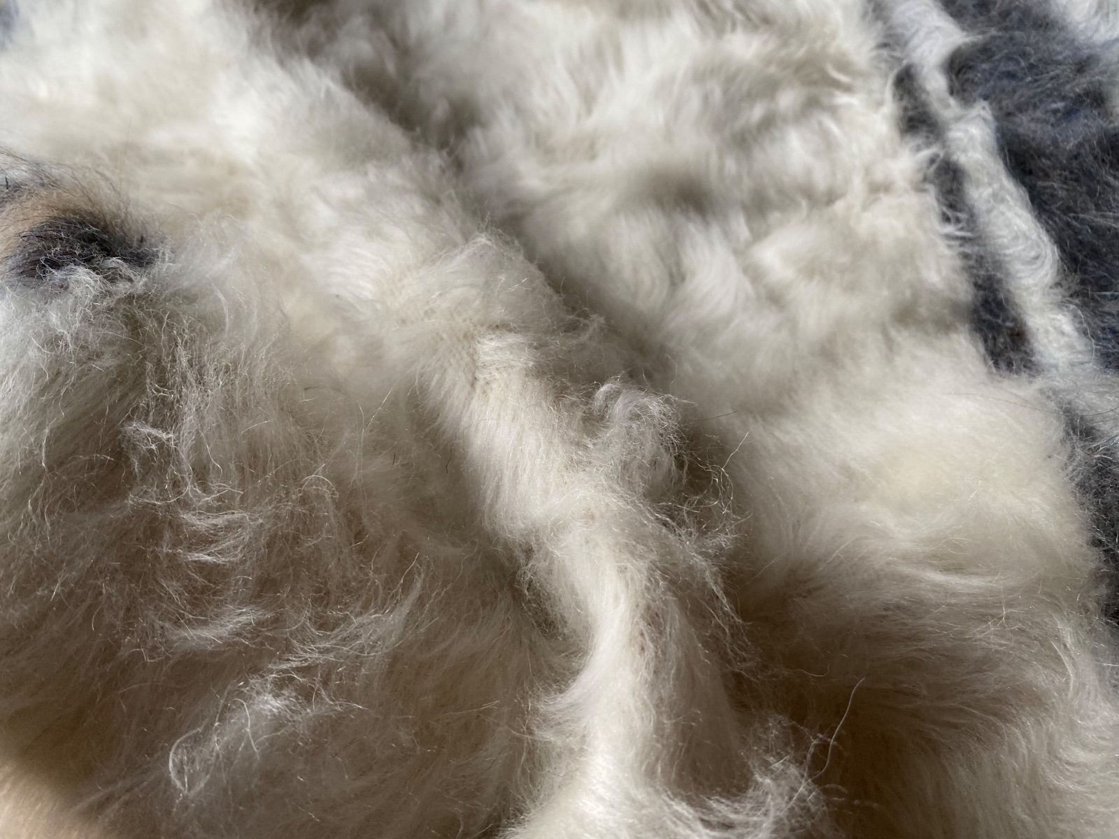 これはお洒落でおすすめ