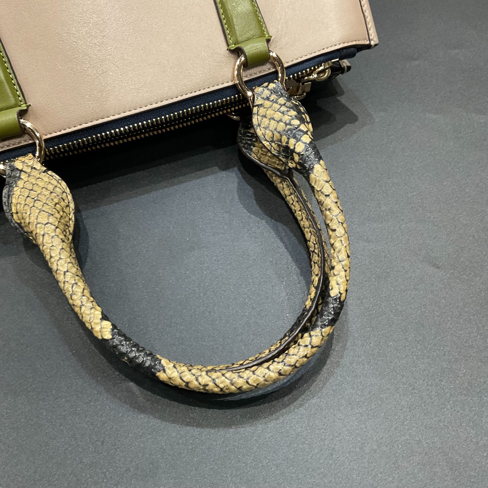 コーチ パイソン