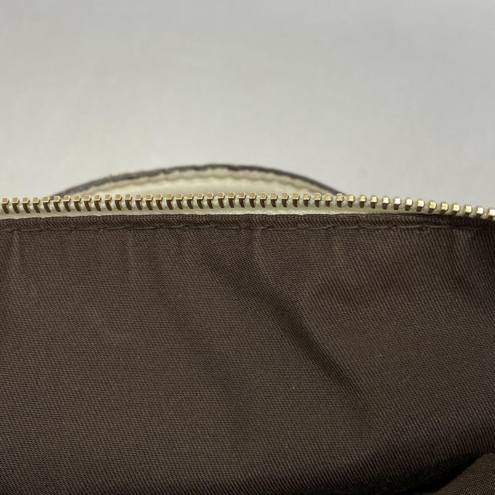 シャンパンレディース