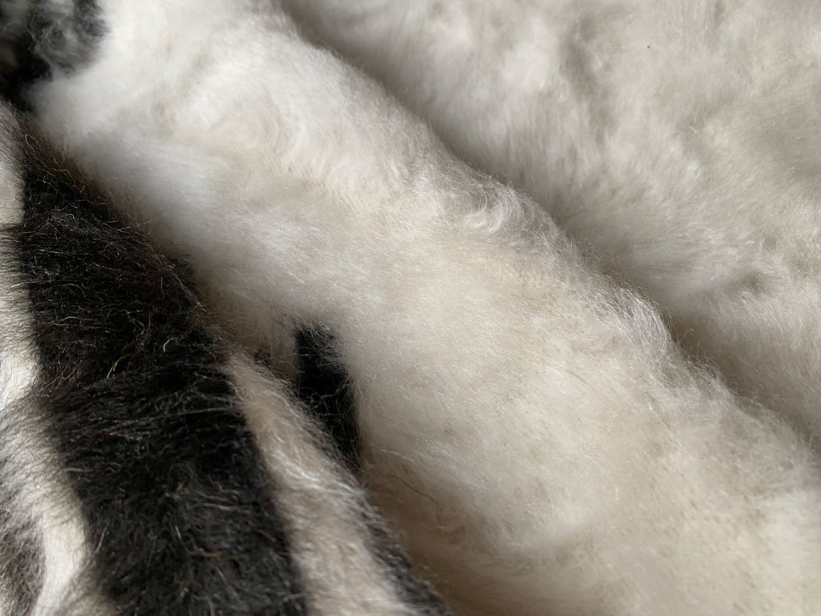 毛足の長い良いものを厳選