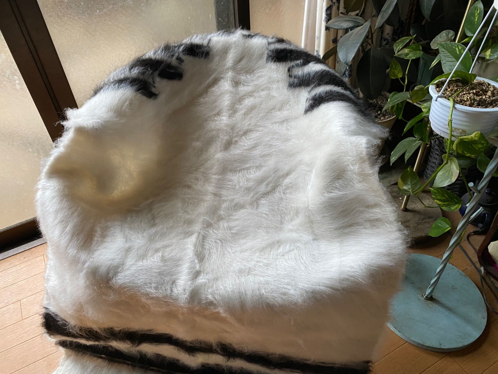 ふわふわ暖かい洗える毛布