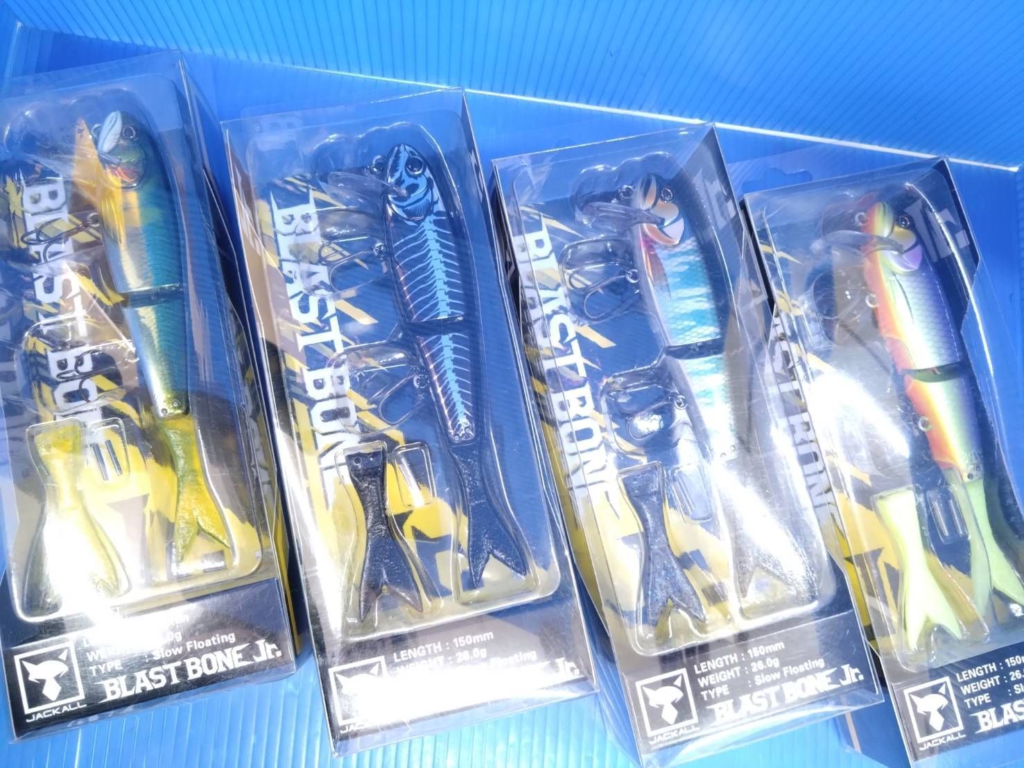 ビカクシダ シルバーベルベット フーンシキ 親株