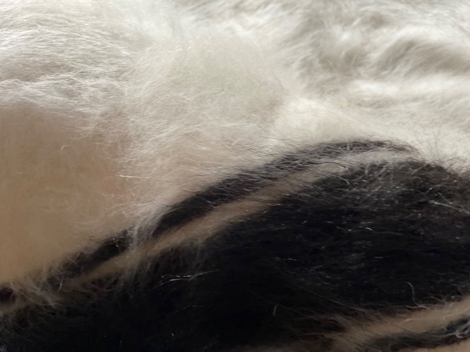 トルコ現地より卸売価格 毛足の長い良いものを厳選