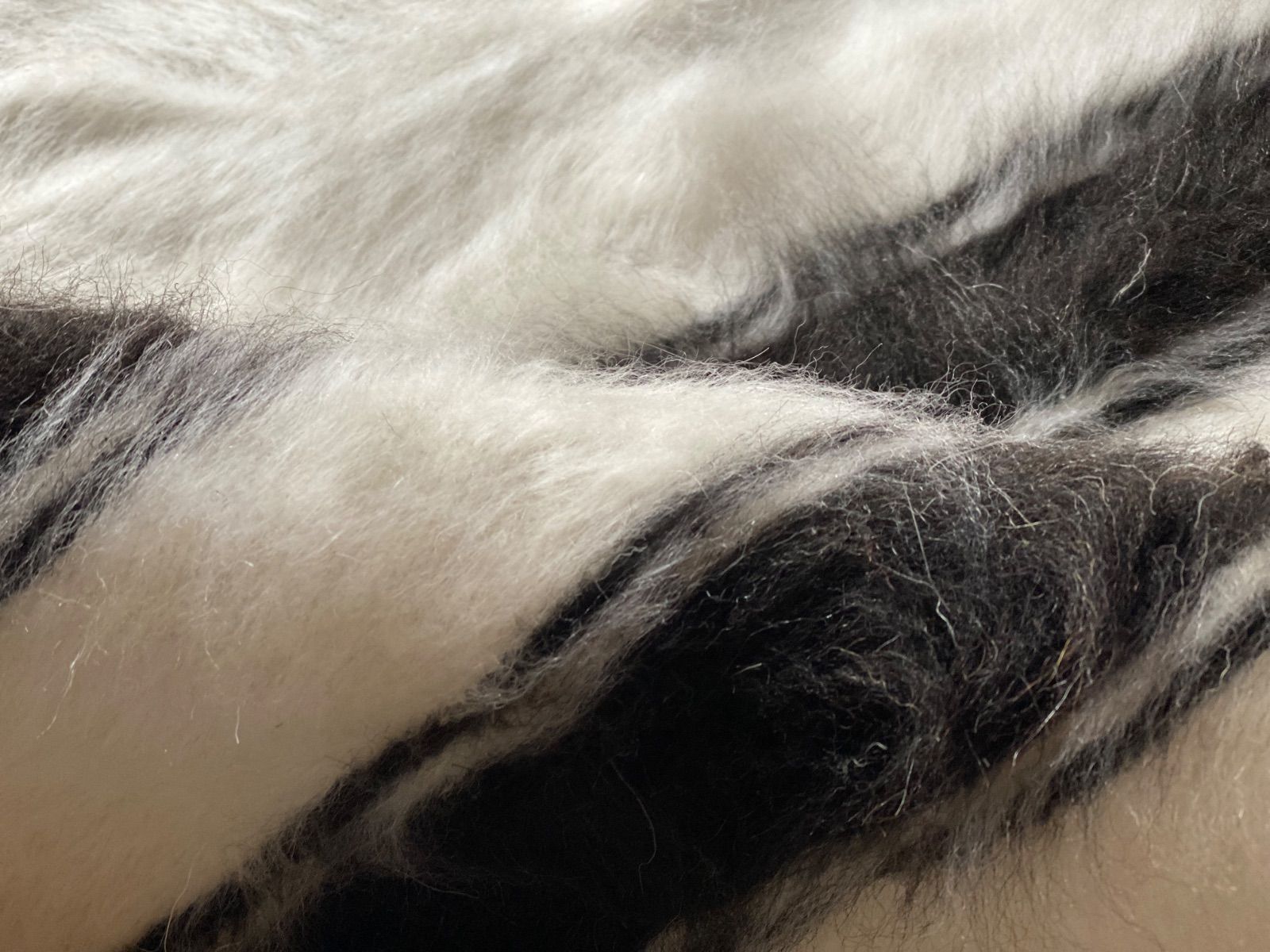 キャンプや車に必需品