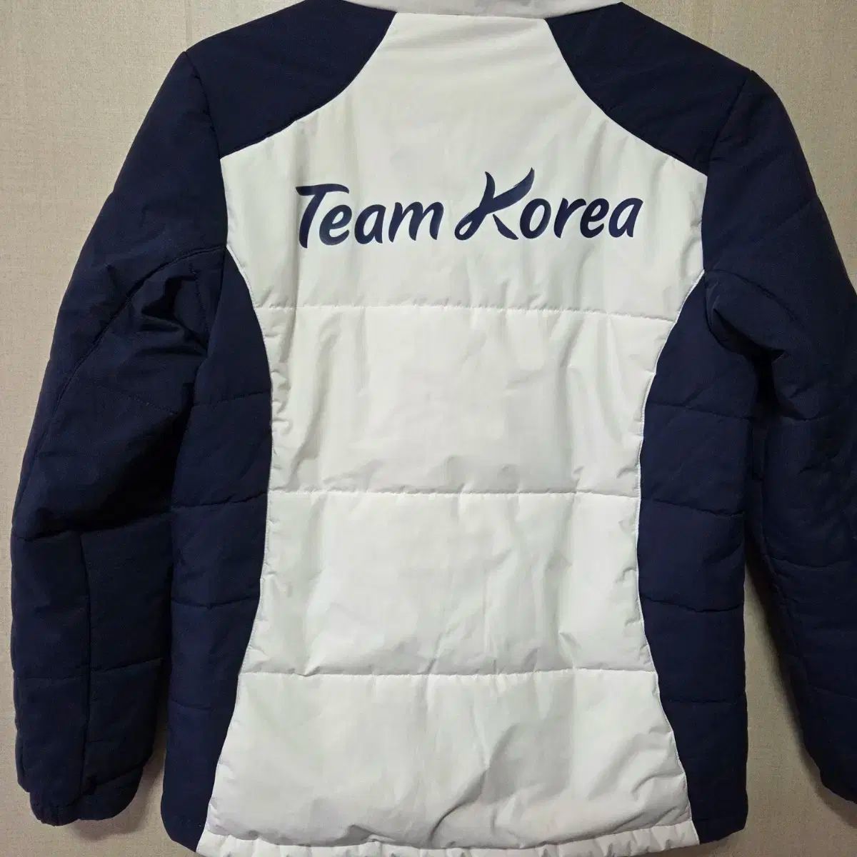 THE NORTH FACE ザノースフェイス チームコリア ダウン ウィメンズ サイズ L