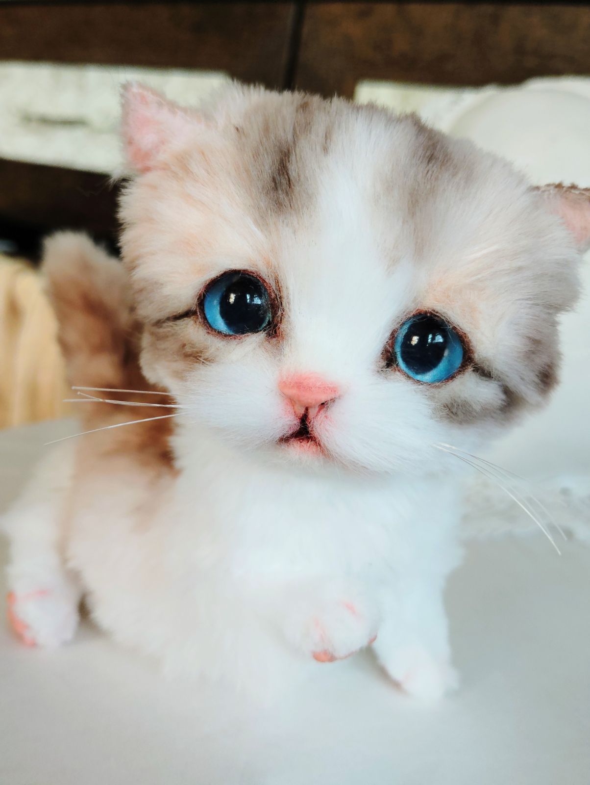 ころころボディ♡よちよち短足♡マンチカン子猫ちゃん♡アートドール