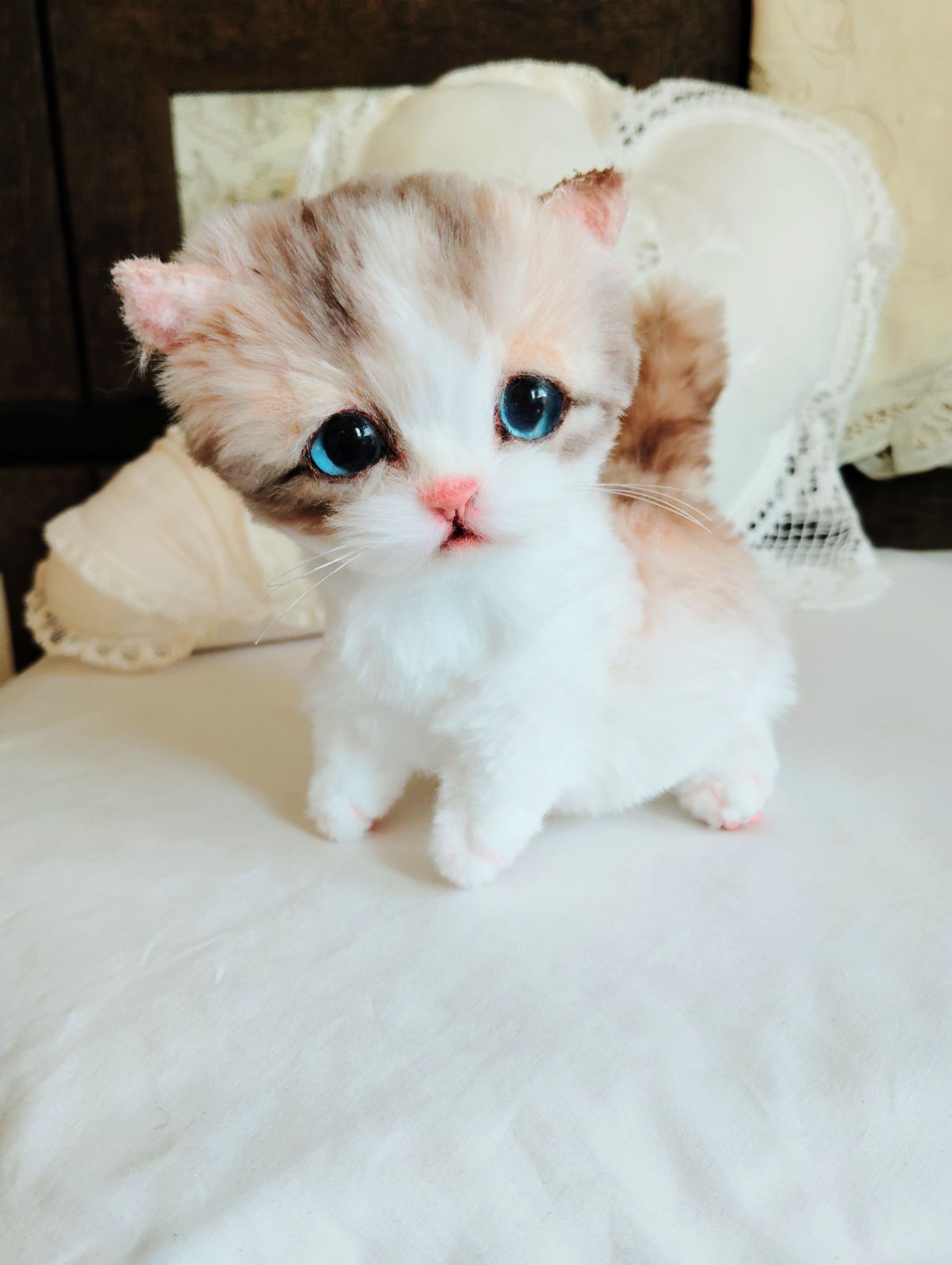 ころころボディ♡よちよち短足♡マンチカン子猫ちゃん♡アートドール
