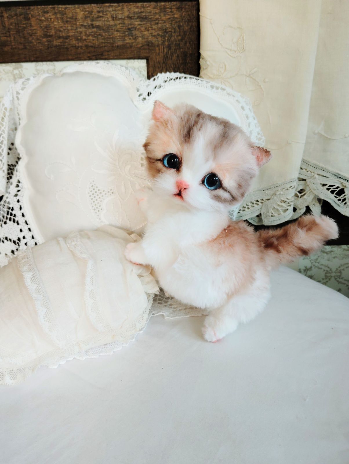 ころころボディ♡よちよち短足♡マンチカン子猫ちゃん♡アートドール