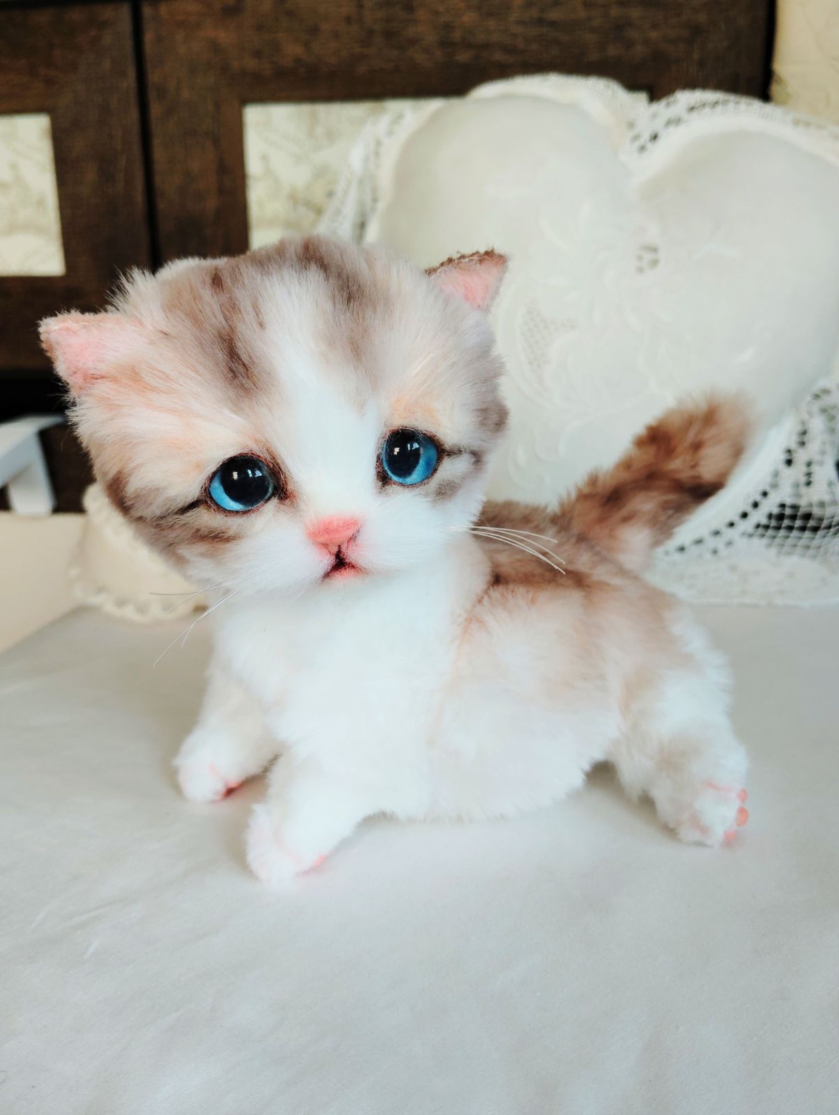 よちよち〜短足♡ころころボディ♡エキゾチック子猫ちゃん♡アートドール♡ぬいぐるみ よちよち〜短足♡ころころボディ♡エキゾチック子猫ちゃん♡アート